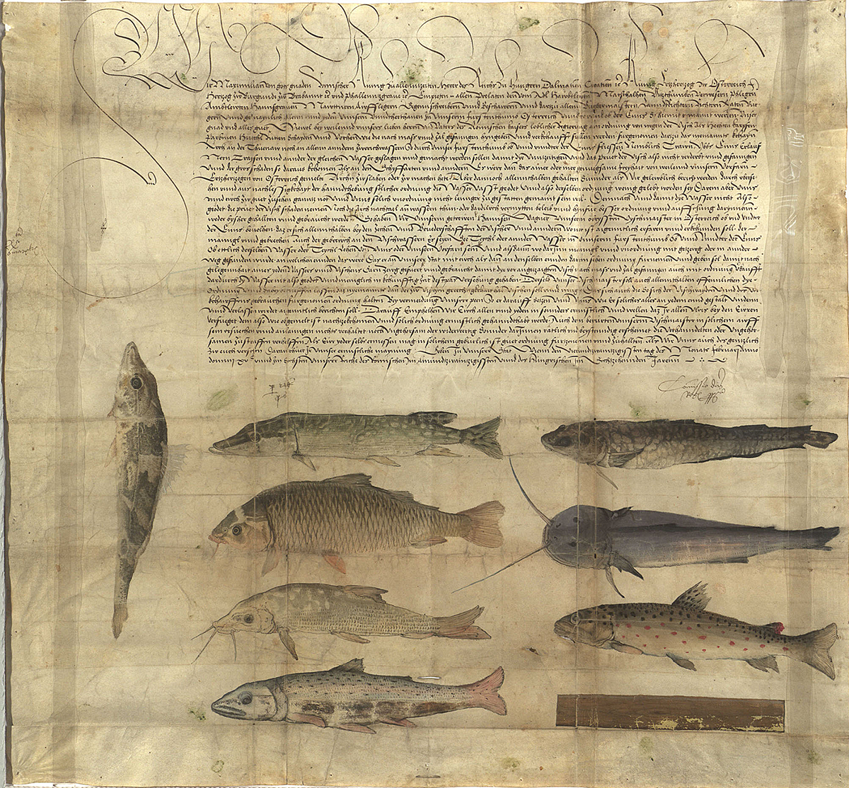 Fishing regulations