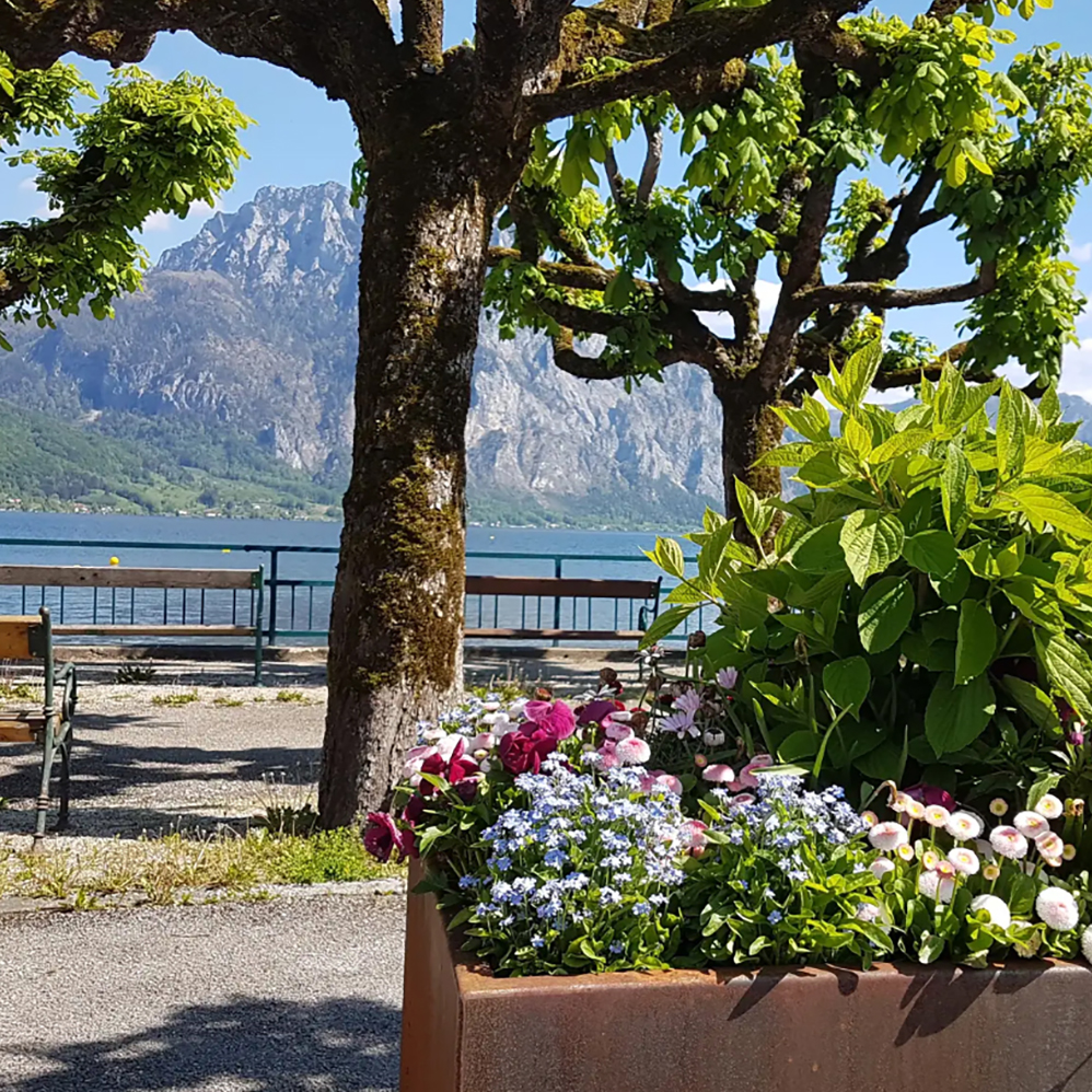 Esplanade und Fischerbucht