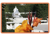 Volksgarten