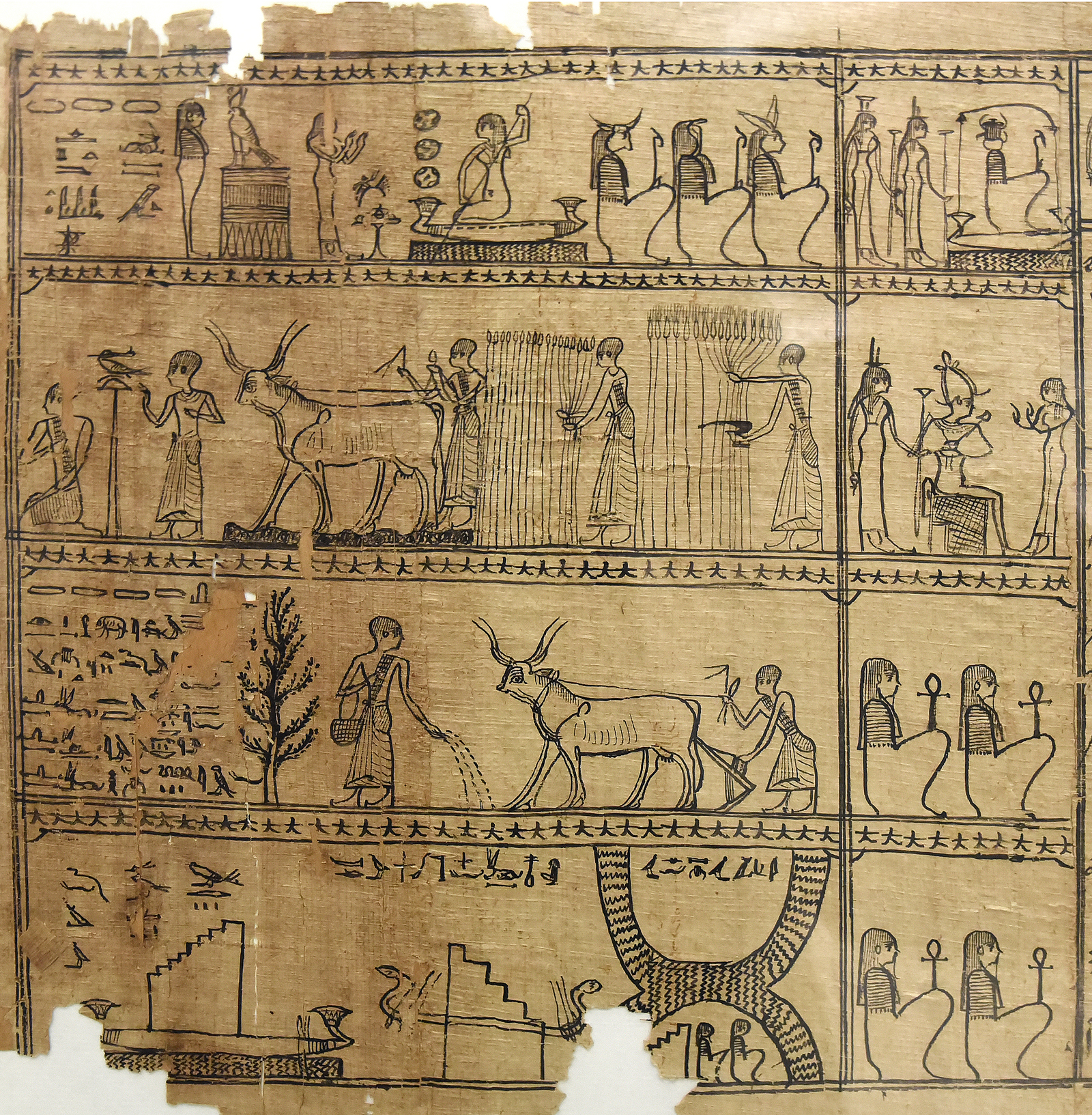 Papyrusmuseum