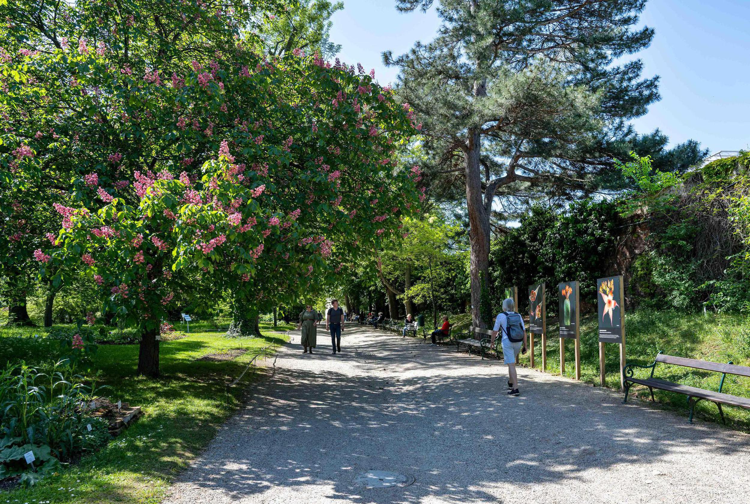 Gartenrundgang