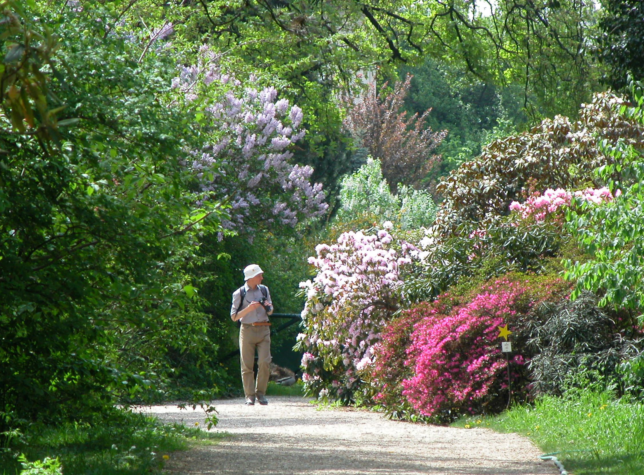 Rhododendron-Quartier