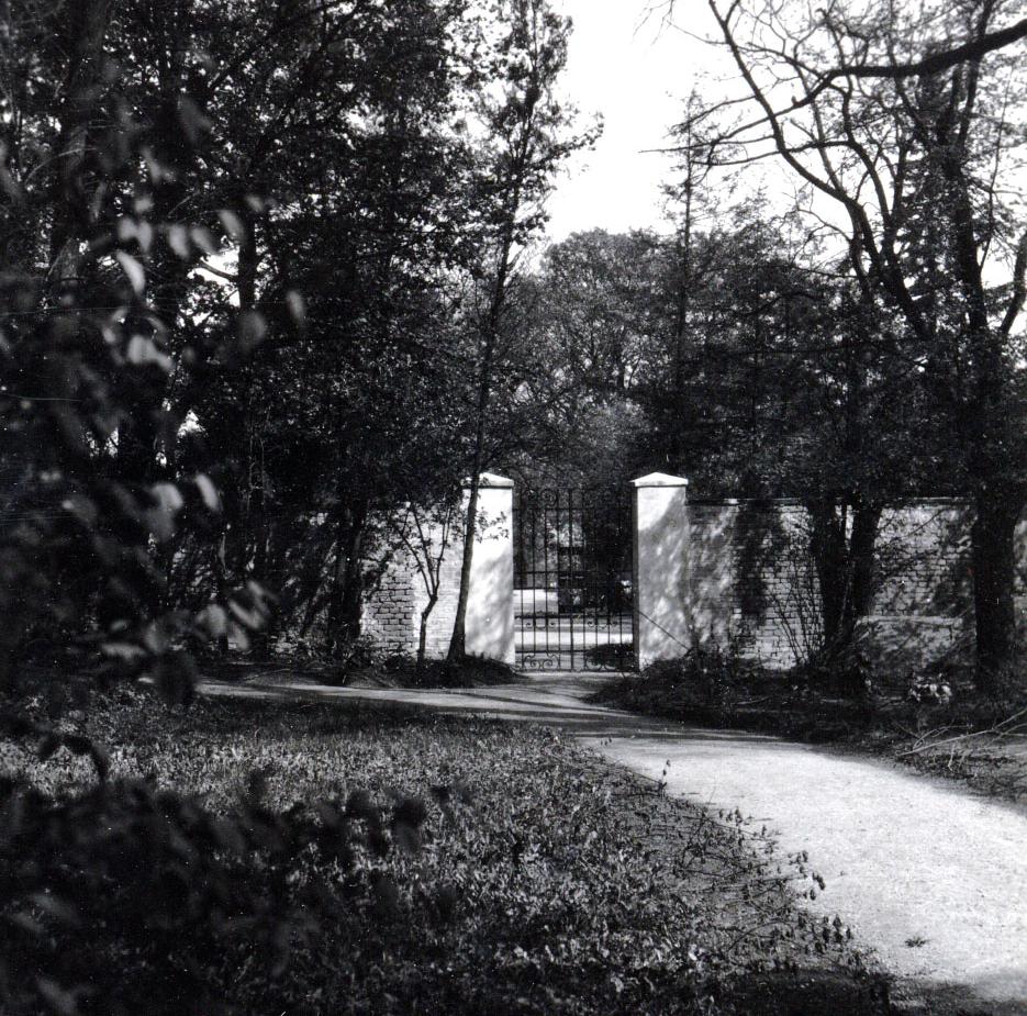 Host und der Hostsche Garten