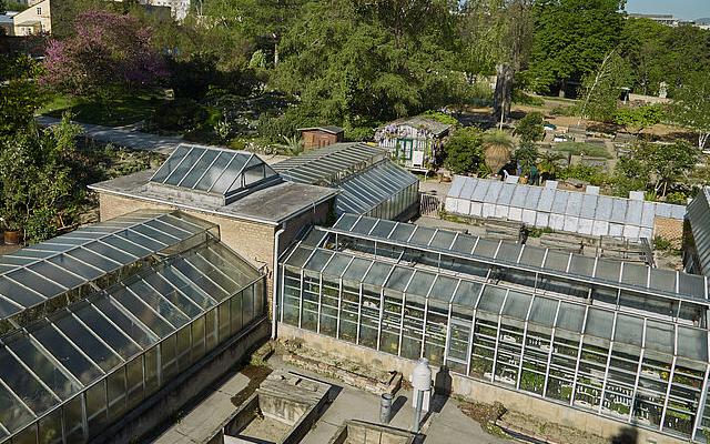Greenhouses