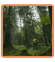 Mountainbiking