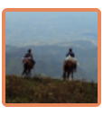 Horseback riding