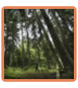 Shepherd Trail