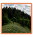 Footprint Trail