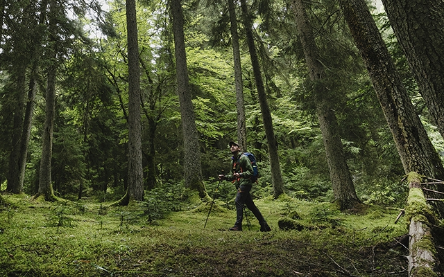 Hiking in Borjomi-Kharagauli National Park