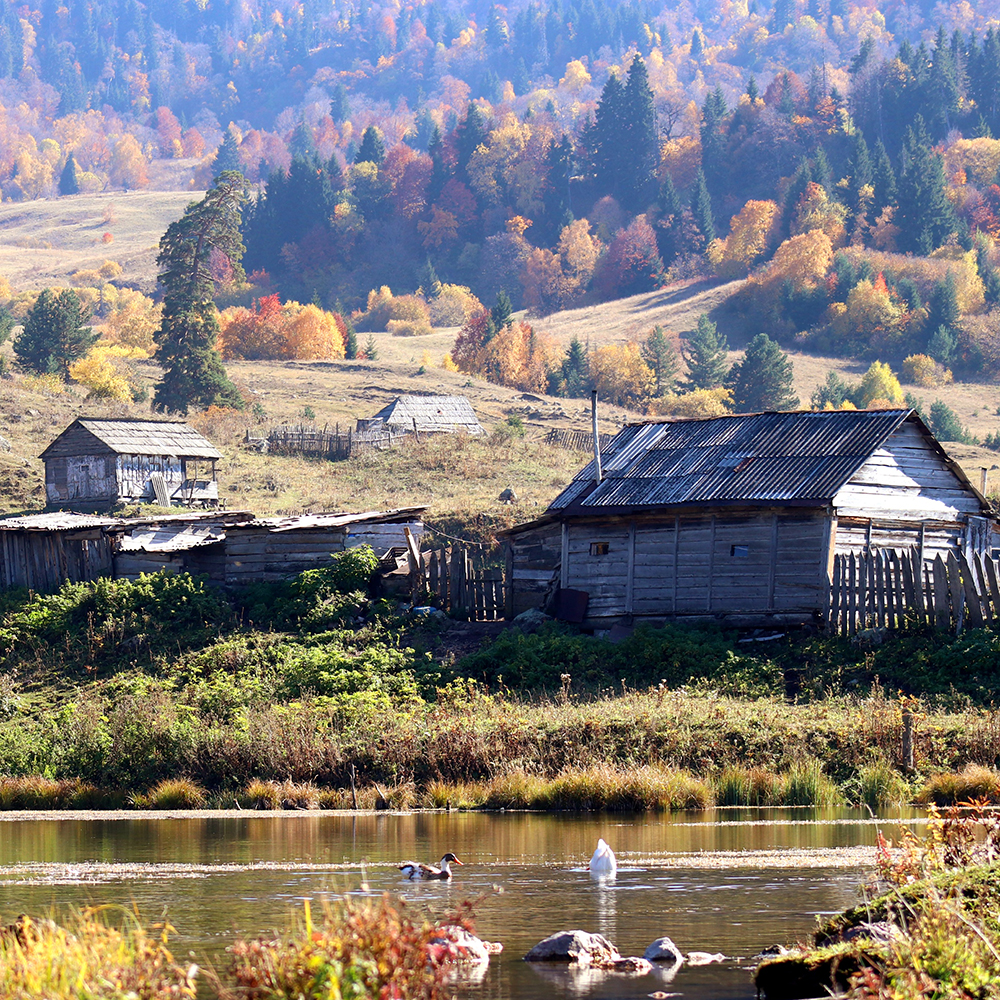 Dabadzveli Village
