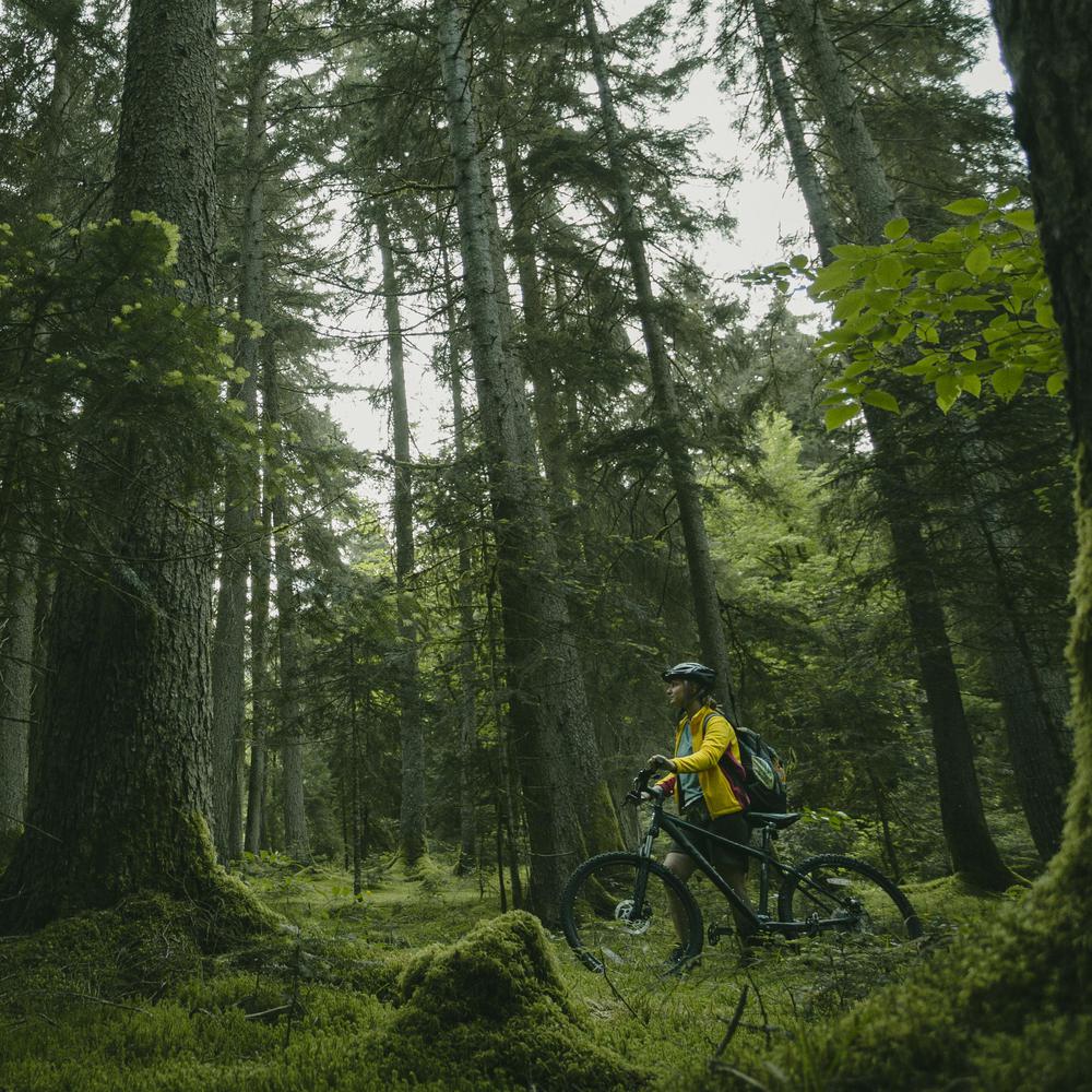 Mountainbiking
