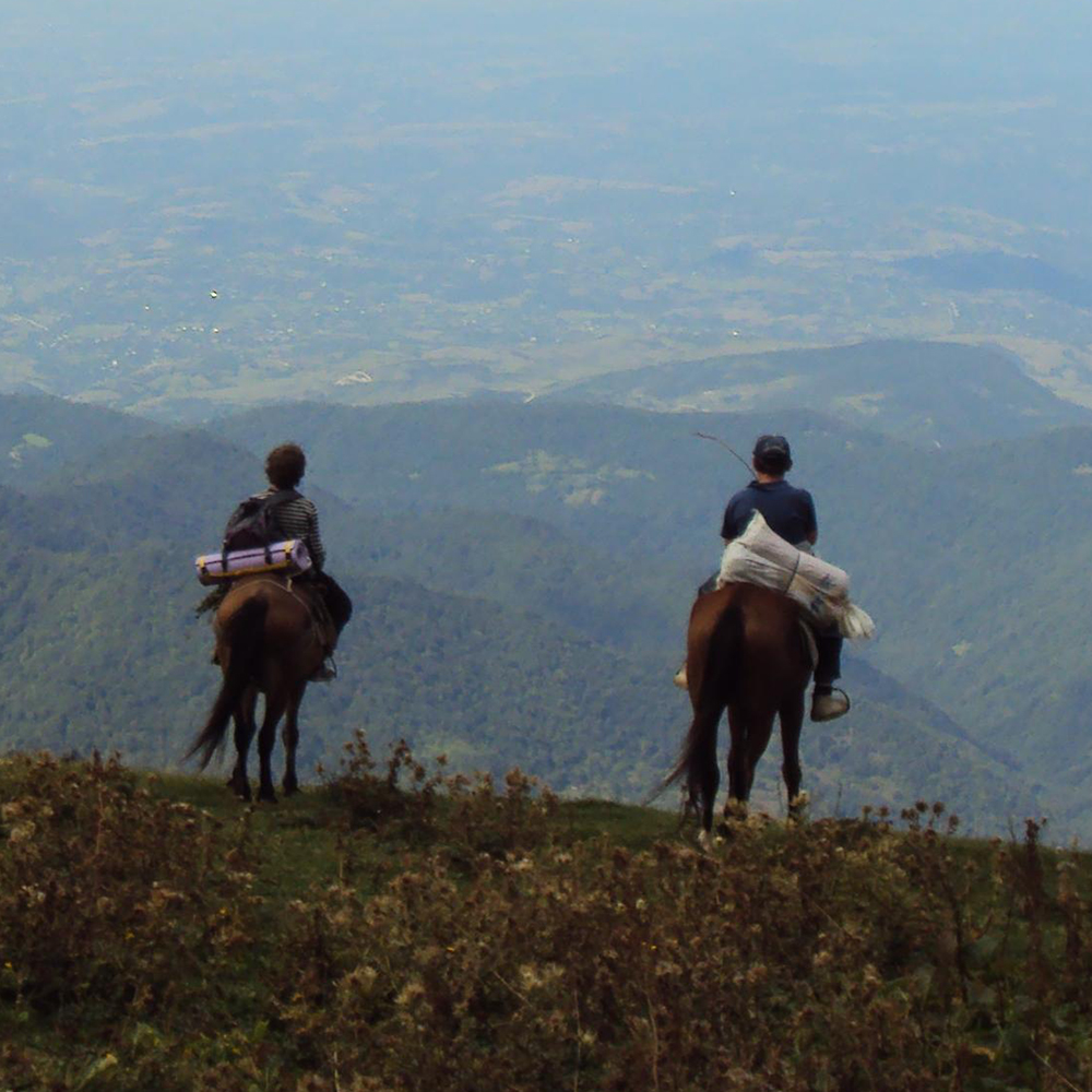 Horseback riding
