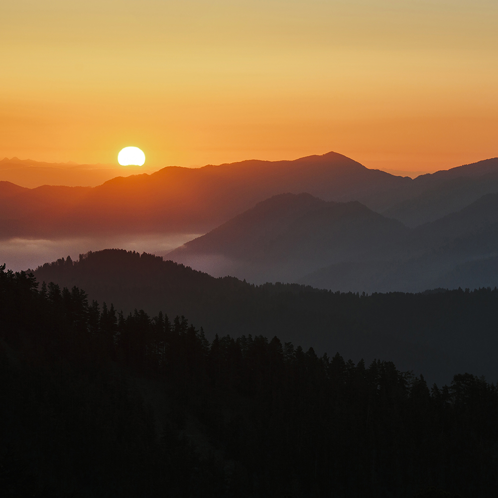 Hiking in Borjomi-Kharagauli National Park