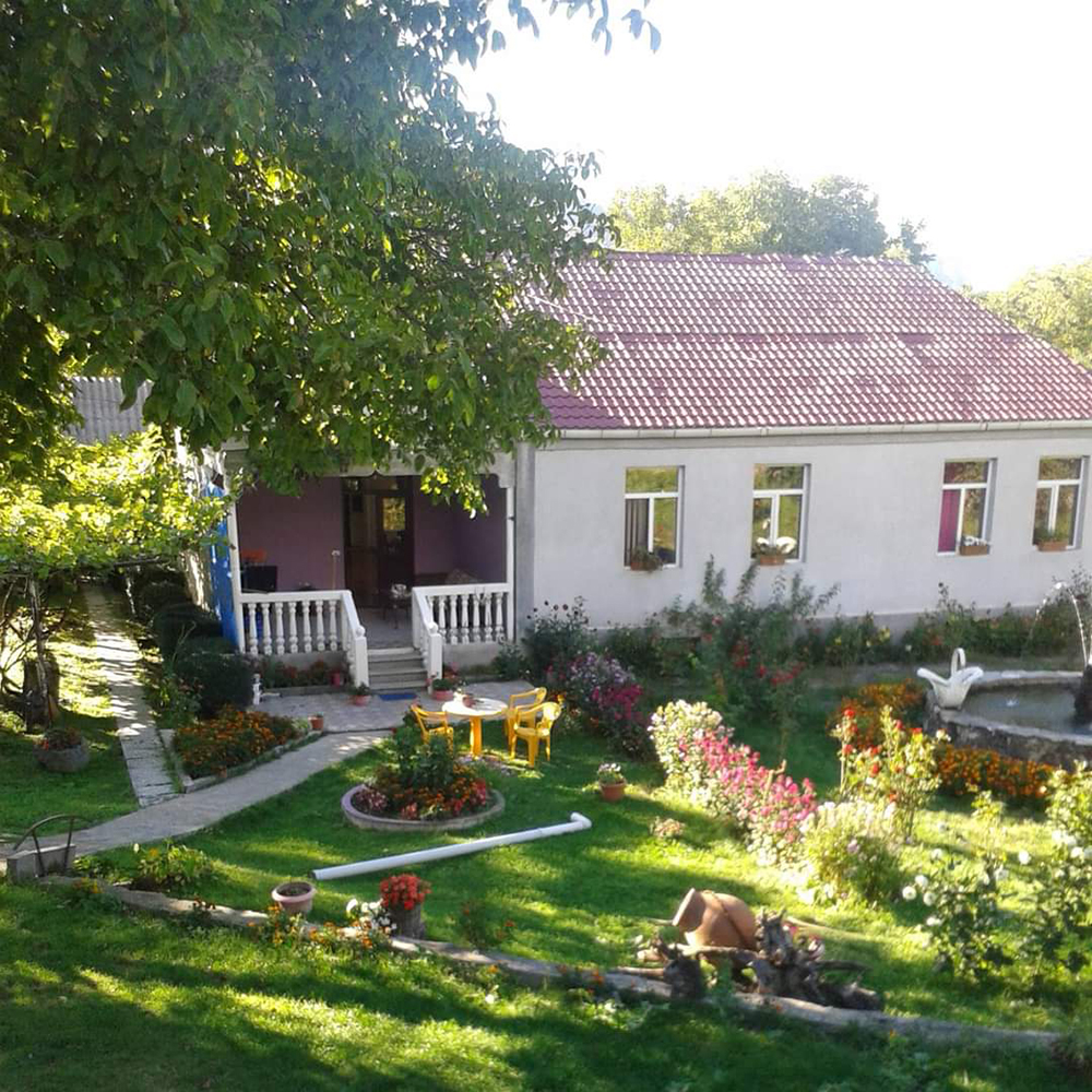 Aspindza - Tmogvi | Hotel Imedi