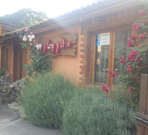 Borjomi | Restaurant Roots