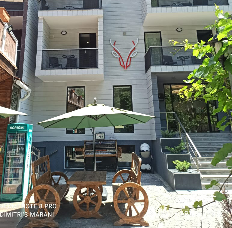 Borjomi | Hotel Underwood