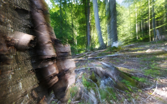 Vielfältige Lebensräume