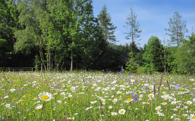 Naturpark Attersee-Traunsee