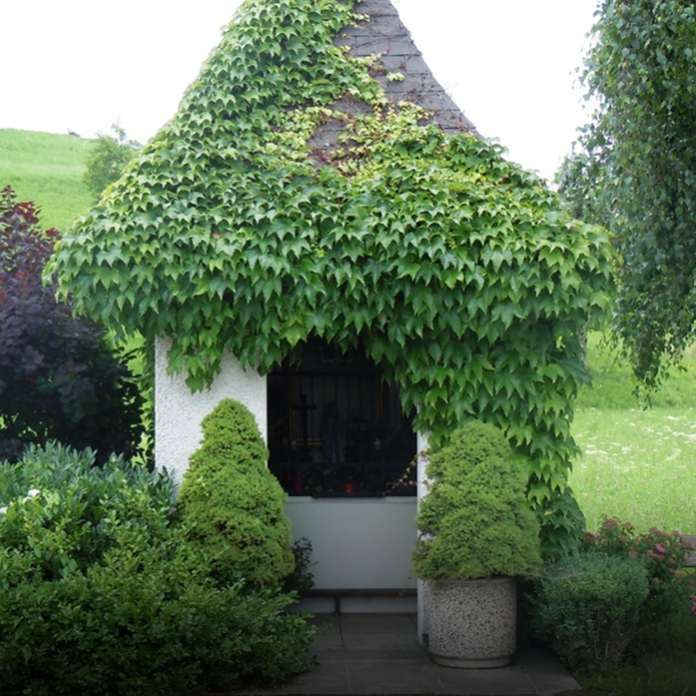 Die Binder-Kapelle