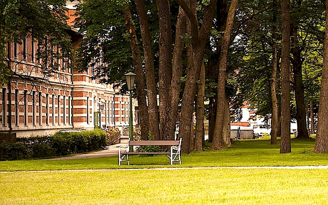 Erwachsenenpsychiatrie