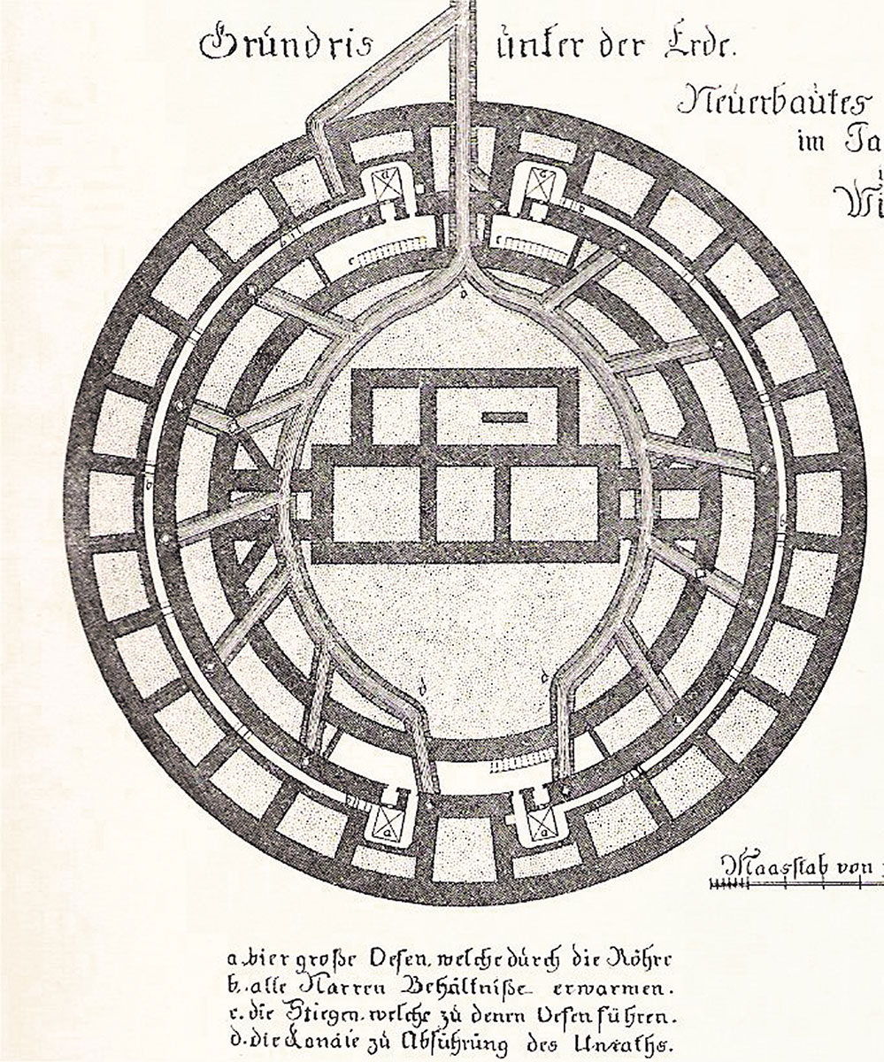 Cell features