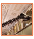 Diplodocus