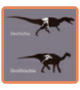 Dinosaurs Types