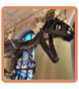 Allosaurus