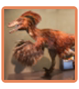 Velociraptor
