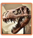 Tyrannosaurus Rex
