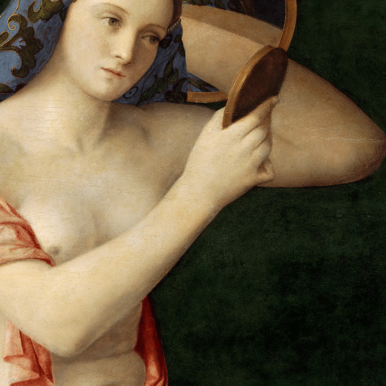 The forearm
