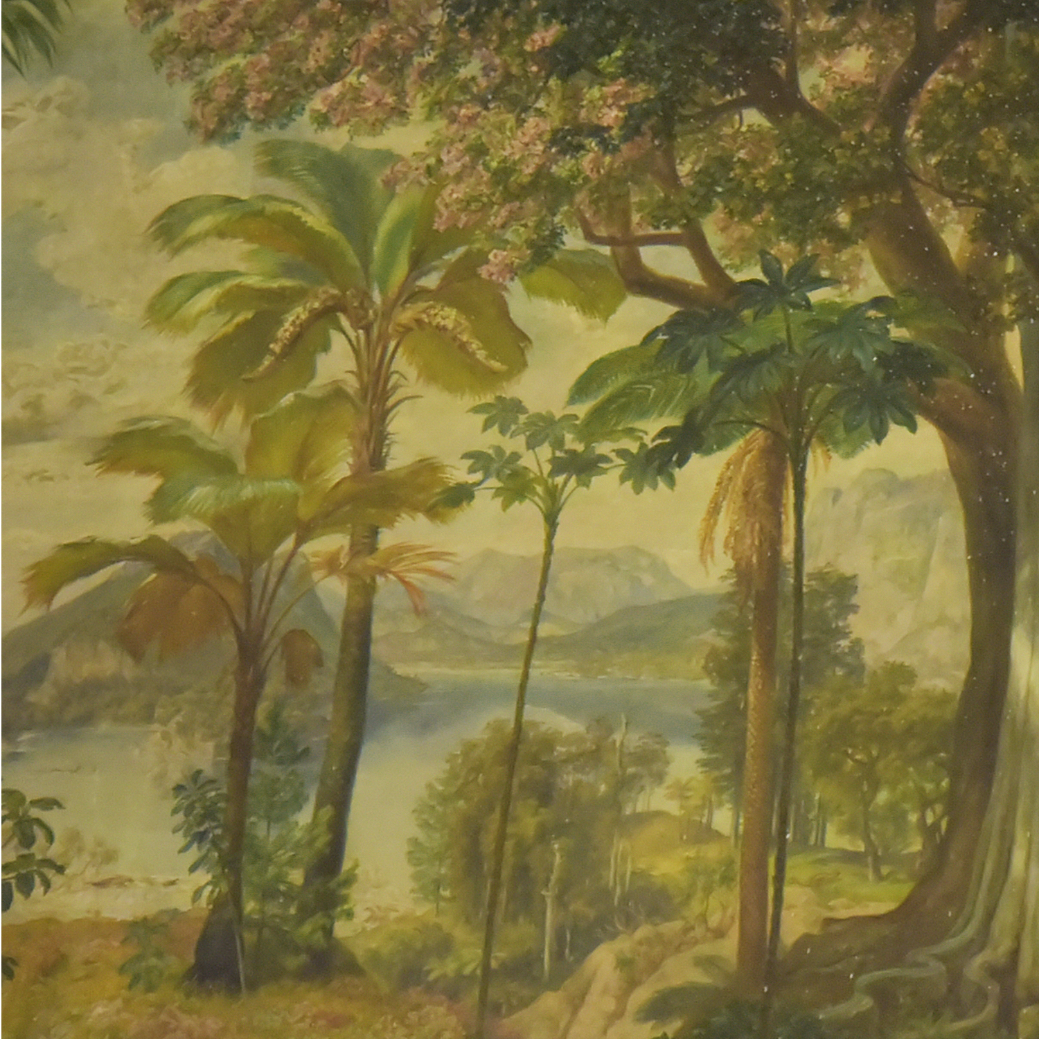 The Cretaceous Period